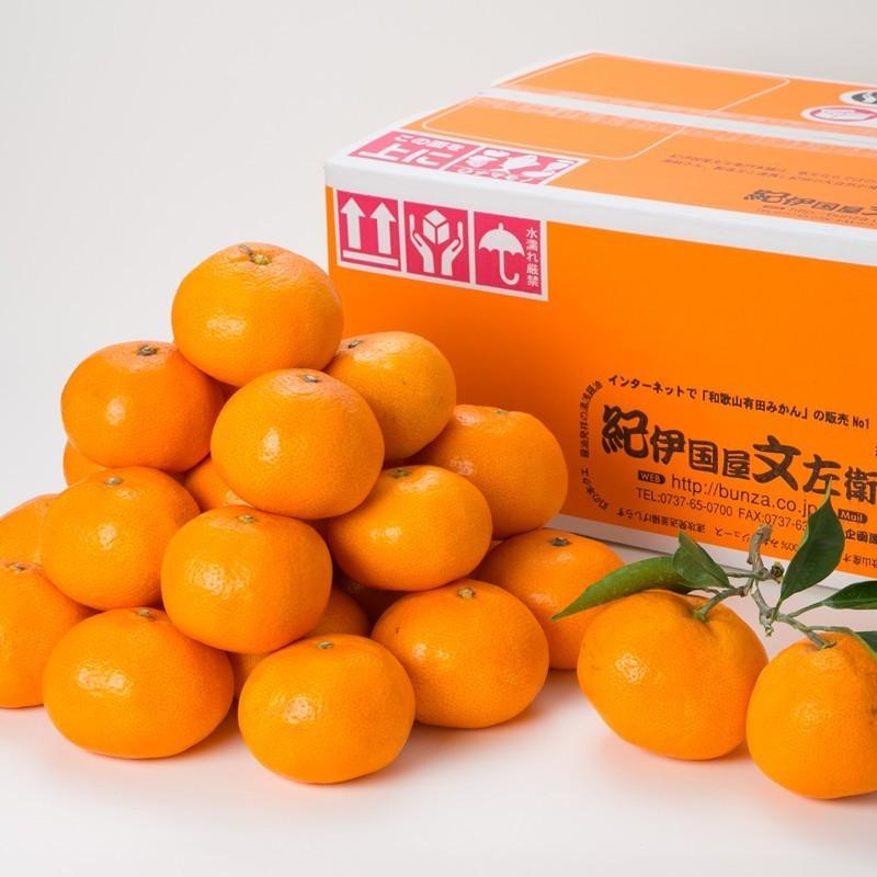 年始出荷】有田みかん サイズ混合 約5kg 青秀 和歌山県有田産・紀伊