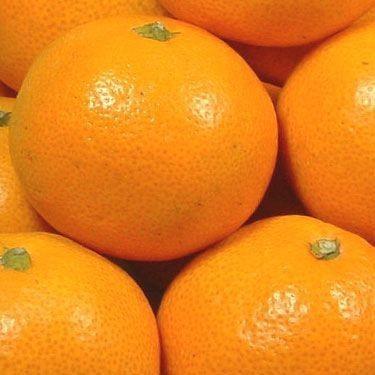 年始出荷】有田みかん サイズ混合 約5kg 青秀 和歌山県有田産・紀伊