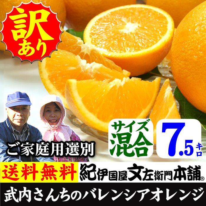 武内さんちの国産バレンシアオレンジご家庭用　選別　サイズ混合7．5kg｜bunza