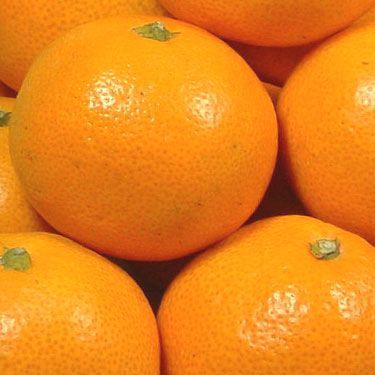 年始出荷】みかん ミカン 小粒ちゃん 有田みかん5kg お買い得の小玉