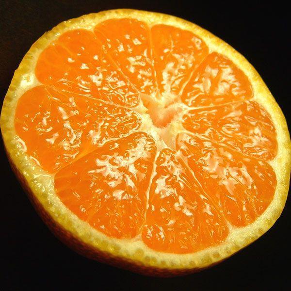 年始出荷】みかん ミカン 小粒ちゃん 有田みかん5kg お買い得の小玉