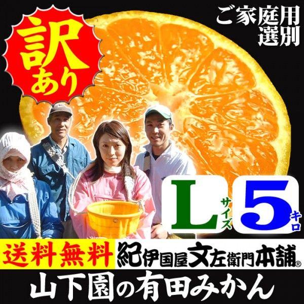 和歌山有田みかん　山下園の有田みかん ご家庭用　(Lサイズ) 約5kg 温州みかん・正しくは「ありたみかん」ではなく、「ありだみかん」です｜bunza