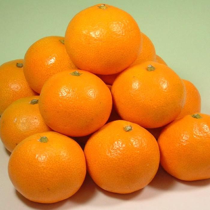 予約販売】 田村みかん お買得 小玉 2Sサイズ 5kg詰 [1箱＝約70