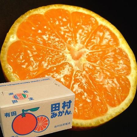 順次出荷】 田村みかん お買得 小玉 2Sサイズ 5kg詰 [1箱＝約70〜80果