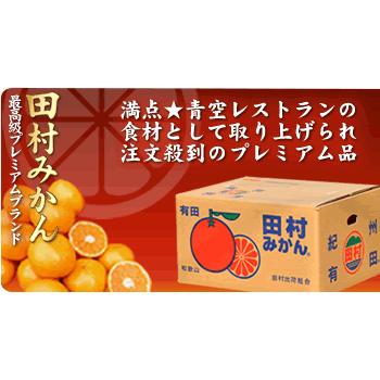 予約販売】田村みかん 青秀 S 10キロ 贈答用 ギフト選別果実 Sサイズ