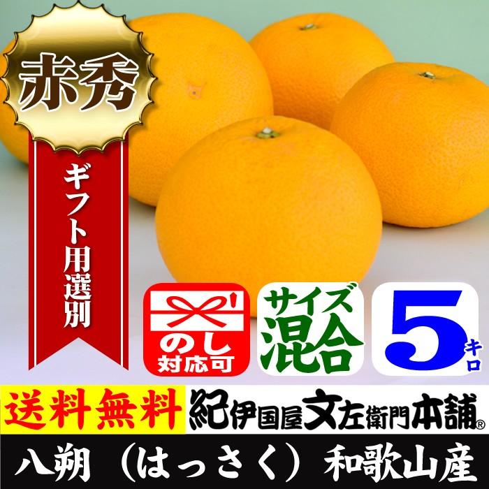 八朔 秀品 5kg サイズ混合 ハッサク はっさく 紀州産 和歌山県産 みかんの本場 有田から 春かんきつ 春みかん  年越し収穫の完熟果実｜bunza