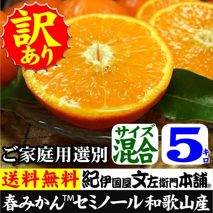 セミノール オレンジ（買得品5kg）紀州有田産　(規格外 不揃い)わけあり 訳あり柑橘(皮に傷)・ご家庭用 常温便  和歌山県・有田みかん｜bunza