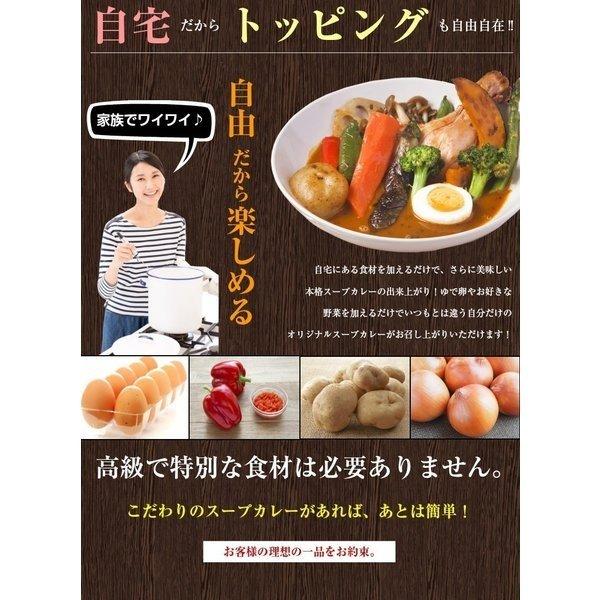 カレー スープカレー レトルト レトルトカレー スパイス スパイスカレー 北海道極旨スパイシー スープカレー チキン 46食 送料無料 セット Bz B1 hicken 北海道産直グルメ ぼーの 通販 Yahoo ショッピング