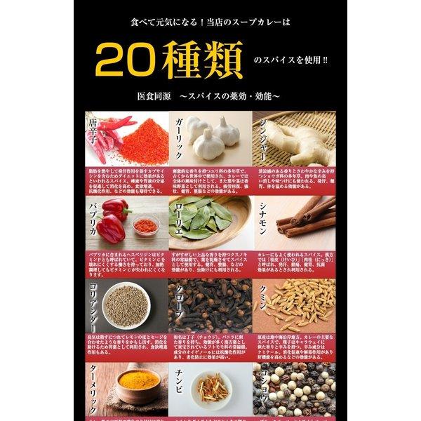 最大半額！期間限定タイムセール！ カレー レトルト【3種から選べる 北海道極旨スパイシー.スープカレー2食.】レトルトカレー  スパイスカレー チキン 角煮【B】｜buono-buono｜12