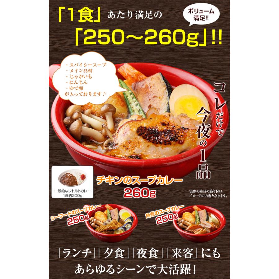 カレー レトルト【3種から選べる 北海道極旨スパイシー.スープカレー2食.】レトルトカレー スパイス スパイスカレー チキン 角煮【B】｜buono-buono｜15