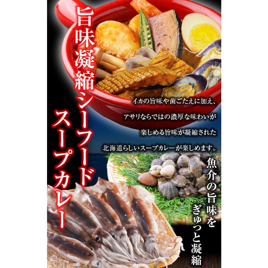 最大半額！期間限定タイムセール！カレー レトルト【3種から選べる 北海道極旨スパイシー.スープカレー2食.】レトルトカレー  スパイスカレー チキン 角煮【B】｜buono-buono｜09