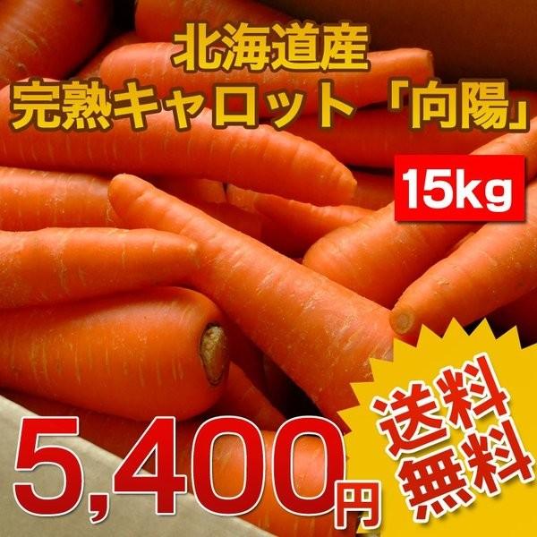 欲しいの 送料無料 北海道産 完熟にんじん15kg まとめ買いで大幅割引 にんじんジュース にんじんしりしり 野菜ジュースに 規格外 仕送り 国産人参 お取り寄せ E Wantannas Go Id