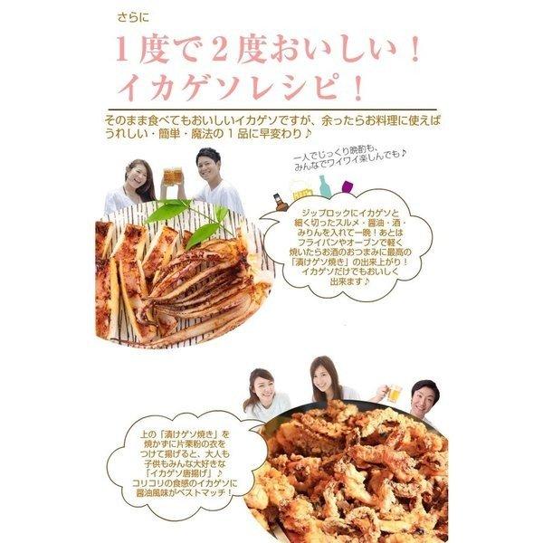 最も人気のある スルメイカ 干物 レシピ 500 トップ画像のレシピ