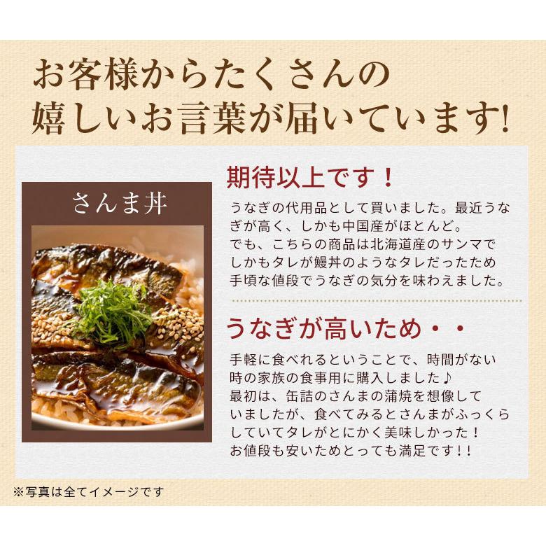 送料無料 北海道産炭焼き さんま丼40パック 蒲焼き サンマ 秋刀魚 ポイント消化 メール便 お取り寄せ Z09 B1 40 北海道産直グルメ ぼーの 通販 Yahoo ショッピング