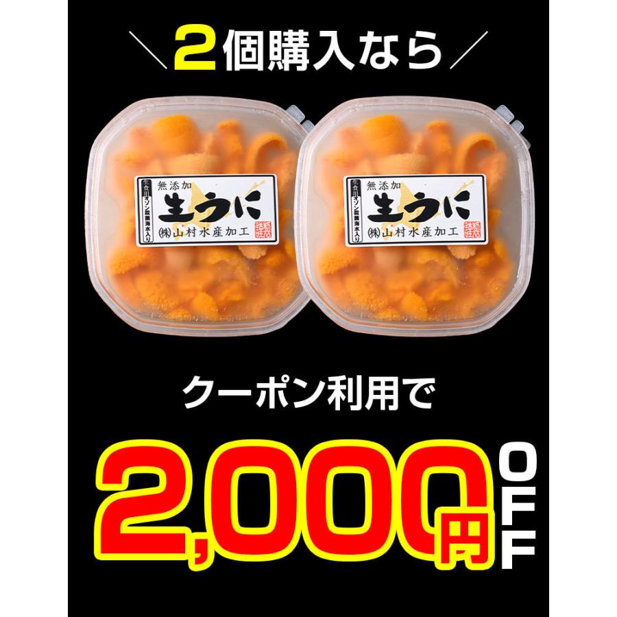 ウニ 塩水 無添加 【最大半額クーポン 北海道産.塩水生エゾバフンウニ100g.】うに 北海道 送料無料 セット 高級 詰め合わせ【FF8】｜buono-buono｜04