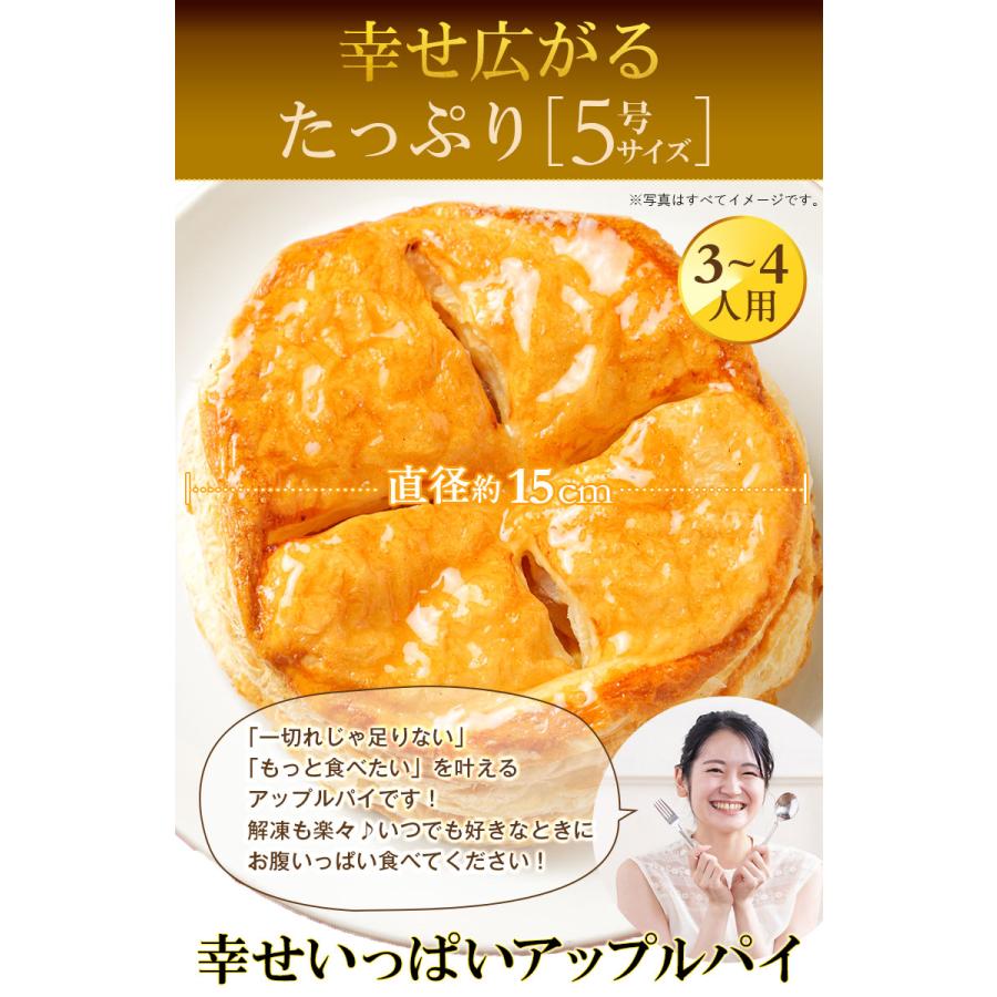 ゴロゴロりんご溢れる .金のアップルパイ2個セット. ギフト 【S10