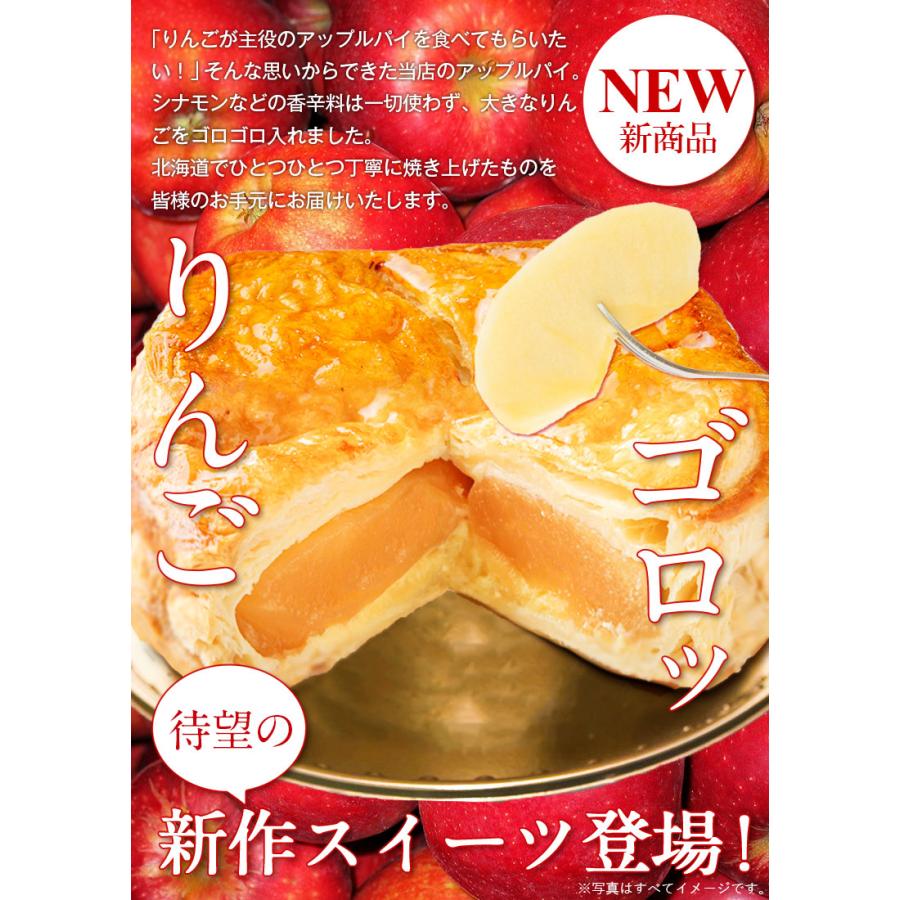 2個買いクーポンで3000円OFF！】訳あり アップルパイ ゴロゴロりんご