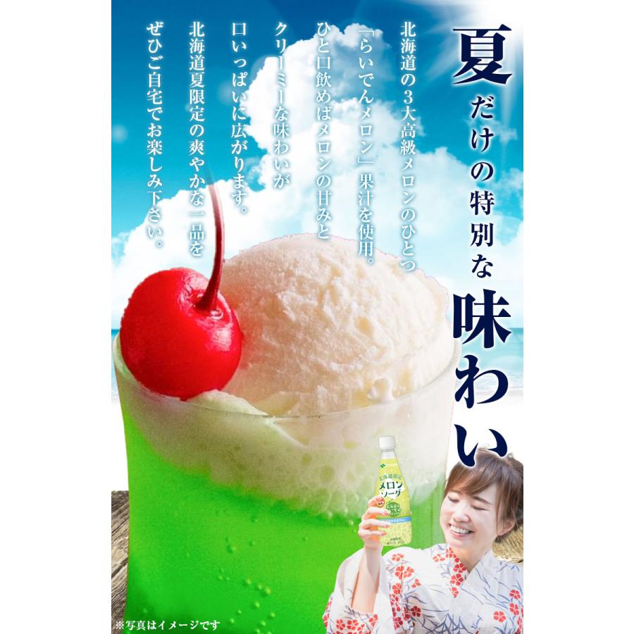 北海道限定アソート 12361-2926-