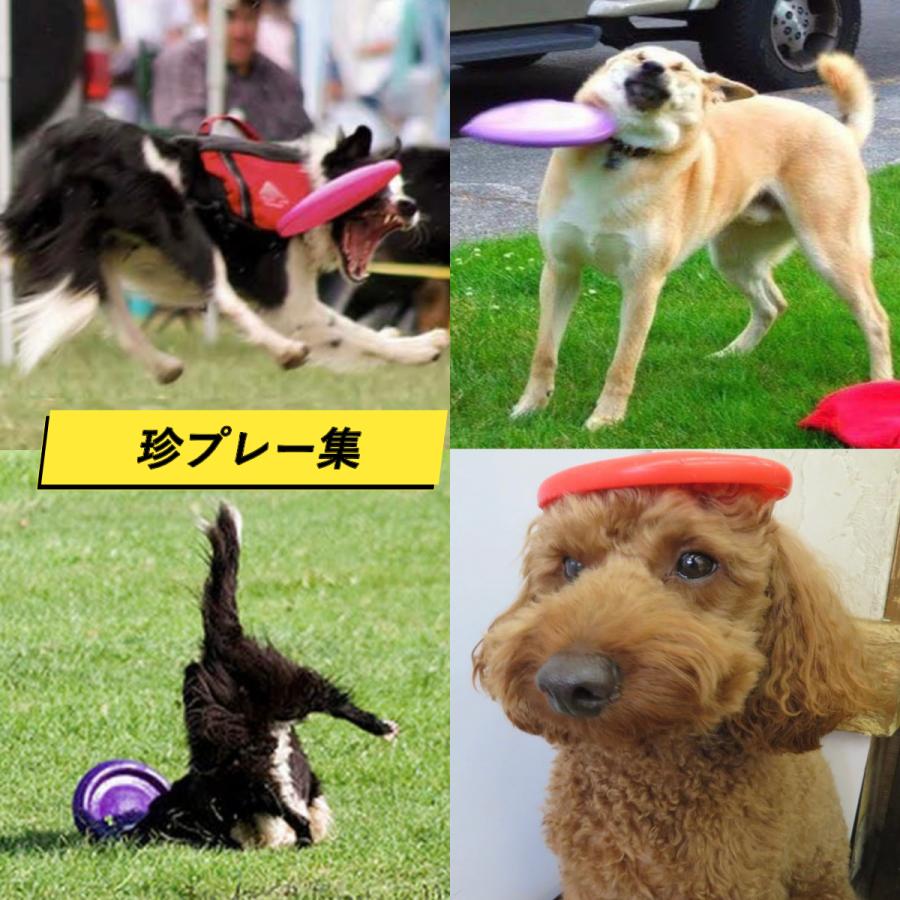 犬のおもちゃ 犬 フリスビー ソフト犬用 柔らかい フライングディスク