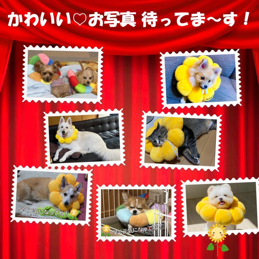 エリザベスカラー 猫 犬 ソフト ペット用品 ポンデリング アニマル