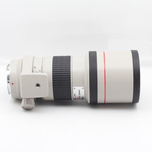 Canon キャノン EF 300mm F4L USM 高級単焦点レンズ カメラ