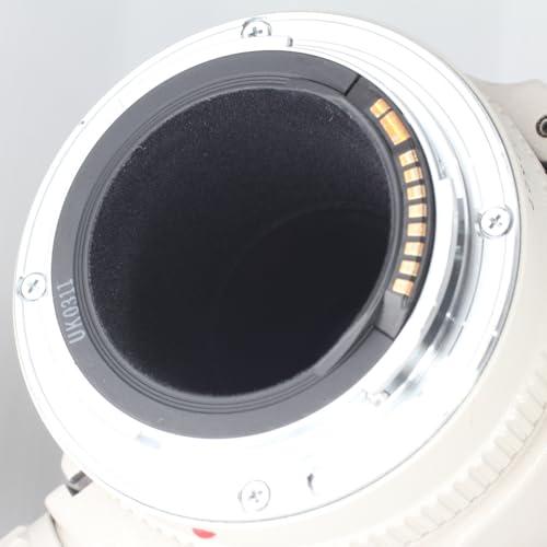 Canon キャノン EF 300mm F4L USM 高級単焦点レンズ カメラ