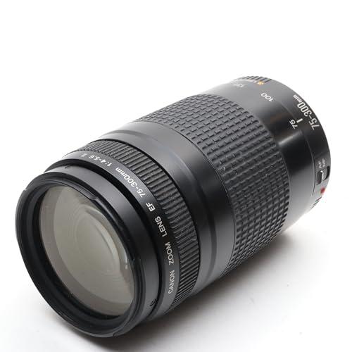 Canon キヤノン ズームレンズ EF 75-300mm F4-5.6 II USM