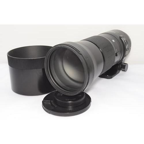 シグマ(Sigma) レンズ 150-600mm F5-6.3 DG OS HSM Canon