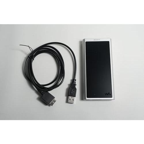 SONY - SONY WALKMAN NW-ZX300 64GB バランス接続 ブラック レビュー SONY ウォークマン NW-ZX300 聴いて音質や操作性や