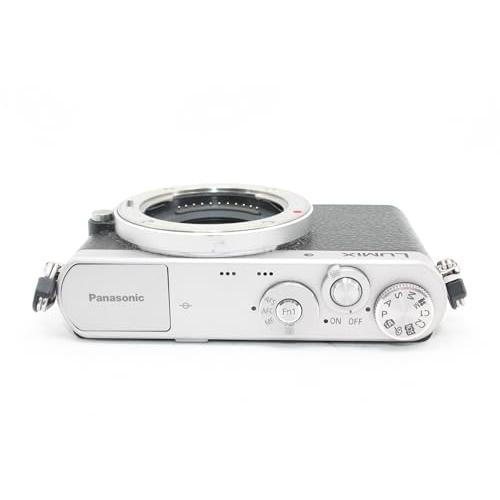 パナソニック(Panasonic) デジタル一眼カメラ ルミックス GM1
