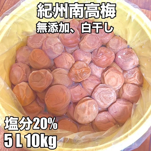 完熟紀州小梅 無選別 無添加 10kg入り 紀州小梅 完熟品 無選別 10kg