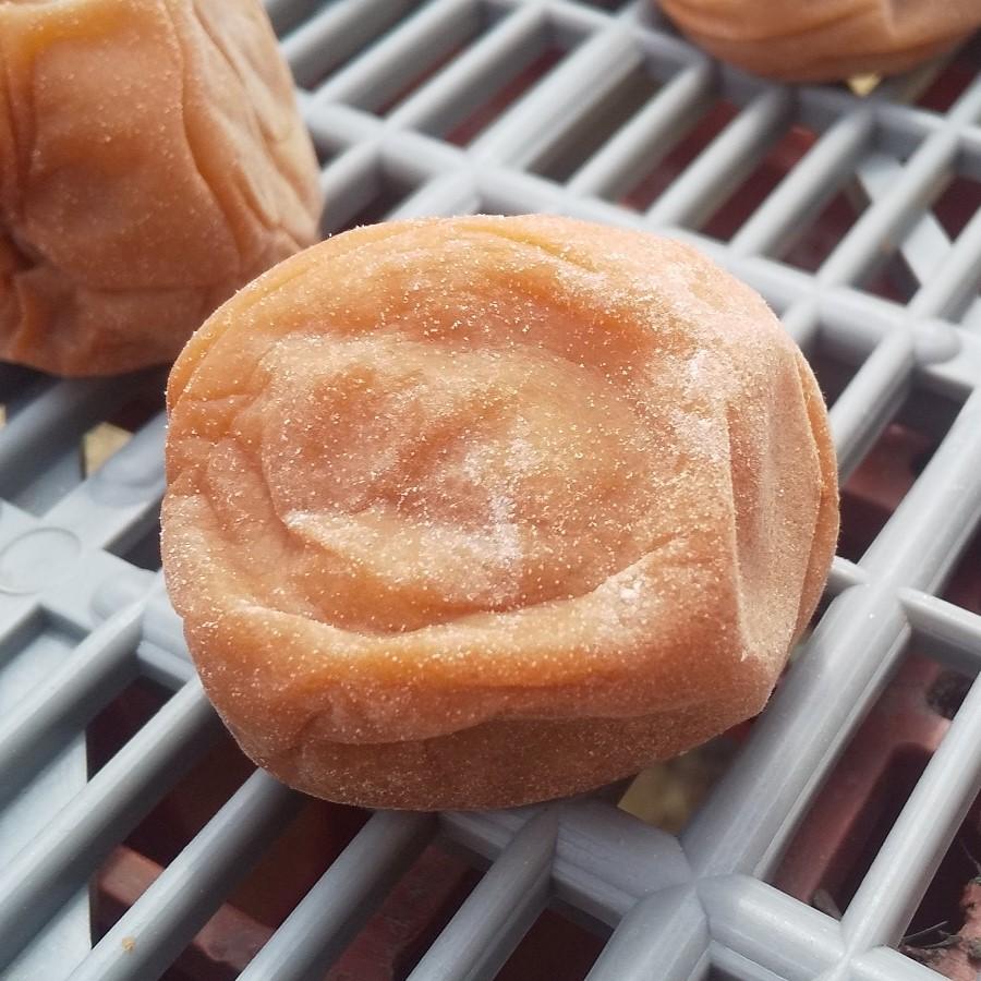 訳あり 無添加・無着色 紀州南高梅白干梅 10kg L.2Lサイズ 完熟梅