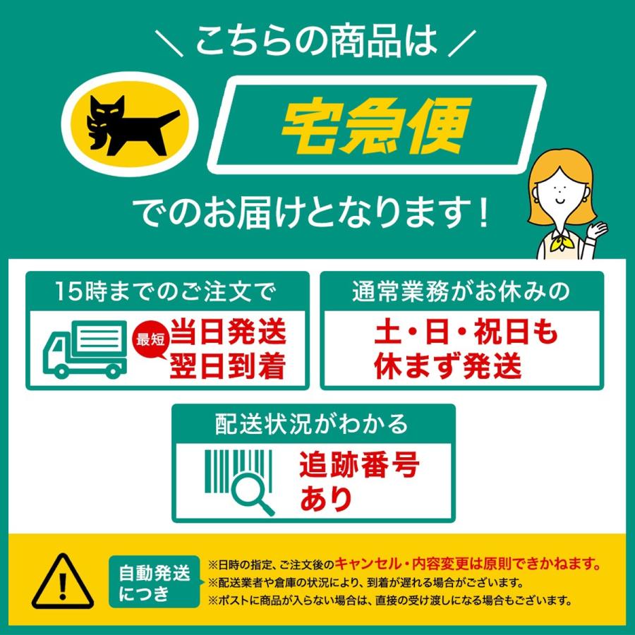 耐火バッグ 耐火ケース 防火袋 耐火金庫 耐火袋 防火バッグ 防火 耐火バッグ 耐火ケース 防火袋 耐火金庫 耐火袋 防火バッグ 防火