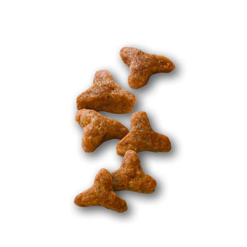 ロイヤルカナン 療法食 猫用 消化器サポート 可溶性繊維 ドライ 2kg×2袋 消化器サポート (新品)(即納) ロイヤルカナン 療法食 猫用 可溶性繊維