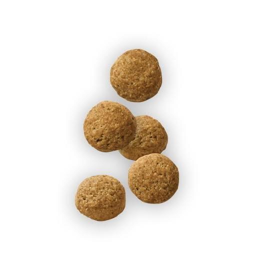 ロイヤルカナン（ROYAL CANIN） 犬用 満腹感サポート 小型犬用 S 3kg 2