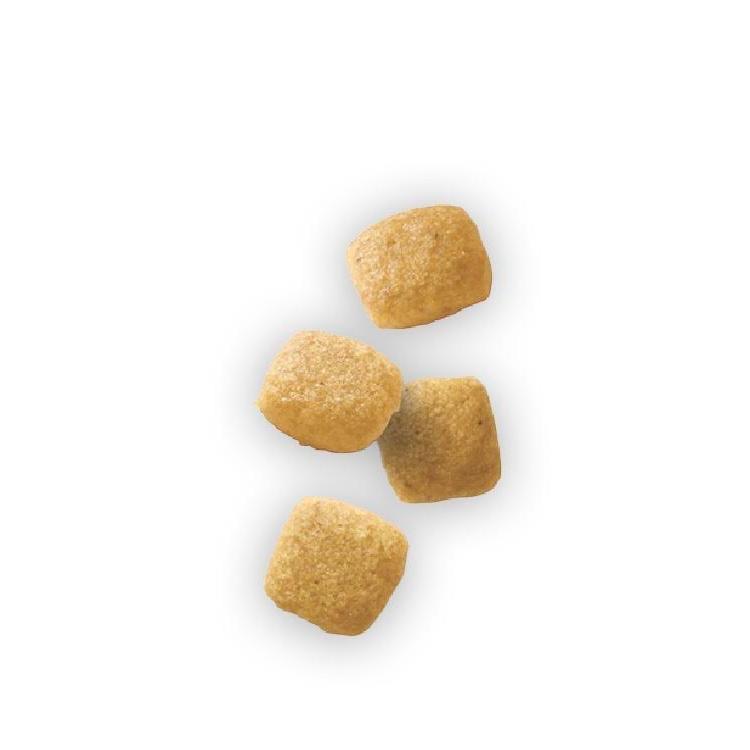 ユリナリーS/O ロイヤルカナン 犬用 ユリナリー S/O ライト 1kg ドライ