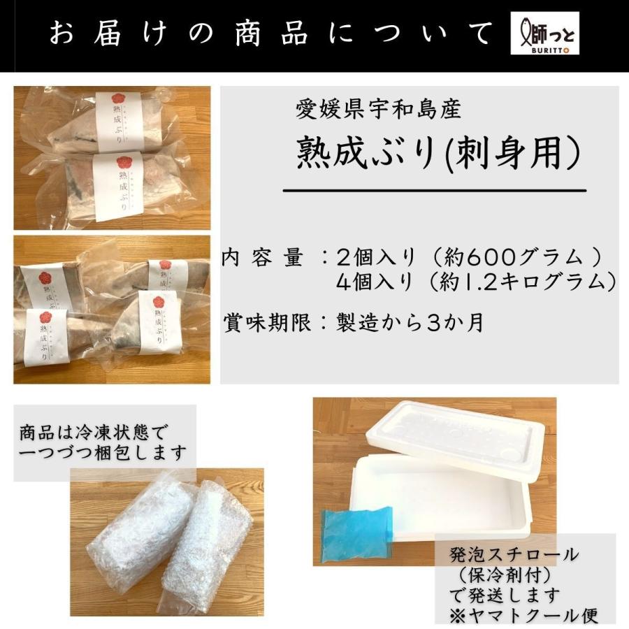宇和島産 冷凍熟成寒ブリ 刺身用 4個入り 約10g 漬け丼やタタキにも お家でお寿司 一年中ブリしゃぶが食べれる 煮ても焼いても 01 鰤っと 通販 Yahoo ショッピング