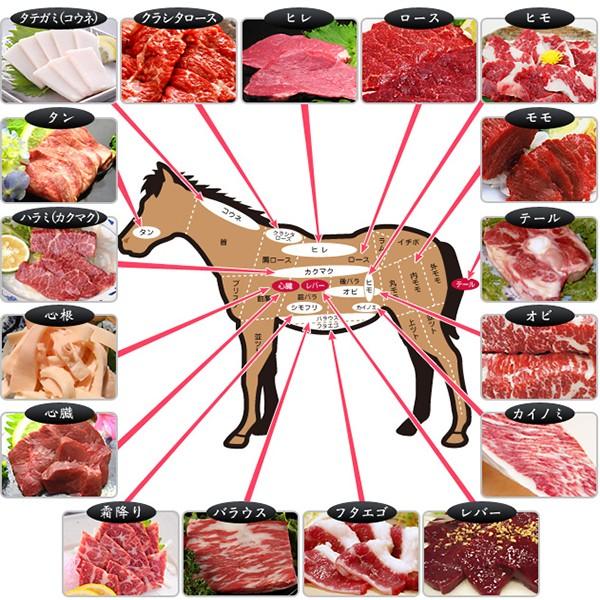 馬刺し 馬肉 馬ヒモ 本場熊本 産地直送 50ｇ パック 約人前 Himo 馬肉のバーニング 通販 Yahoo ショッピング