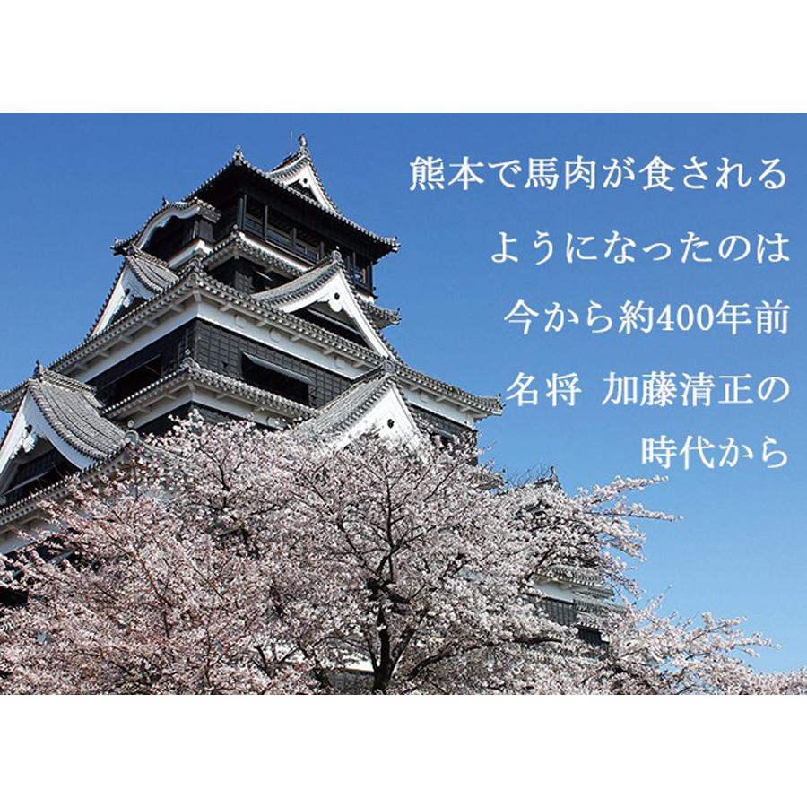 馬刺し 熊本 国産 熊本馬刺し豪華5種 美桜セット 霜降り 赤身 タテガミ ヒレ フタエゴ｜burning829｜14