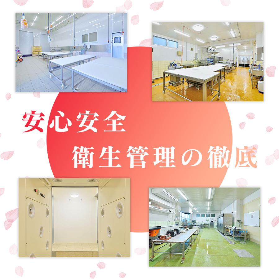 馬刺し 熊本 国産 お試し蹴飛ばしセット 送料無料 馬刺し 馬肉 熊本 おすすめ 上赤身×２ タテガミ 馬刺し醤油付き 150ｇ |  | 08