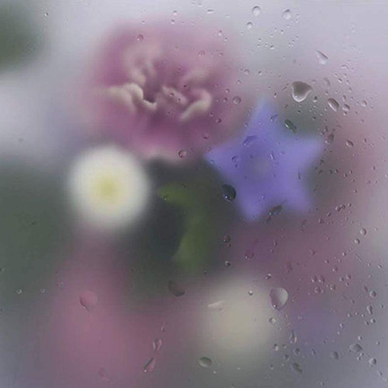 ラッピングペーパー 花束 フラワー 包装紙 工芸品 贈り物 ギフト梱包用 半透明 柔らかい霧感 厚手 防水oppラッピング紙 花屋 ギフトシ ブルベリ 通販 Yahoo ショッピング