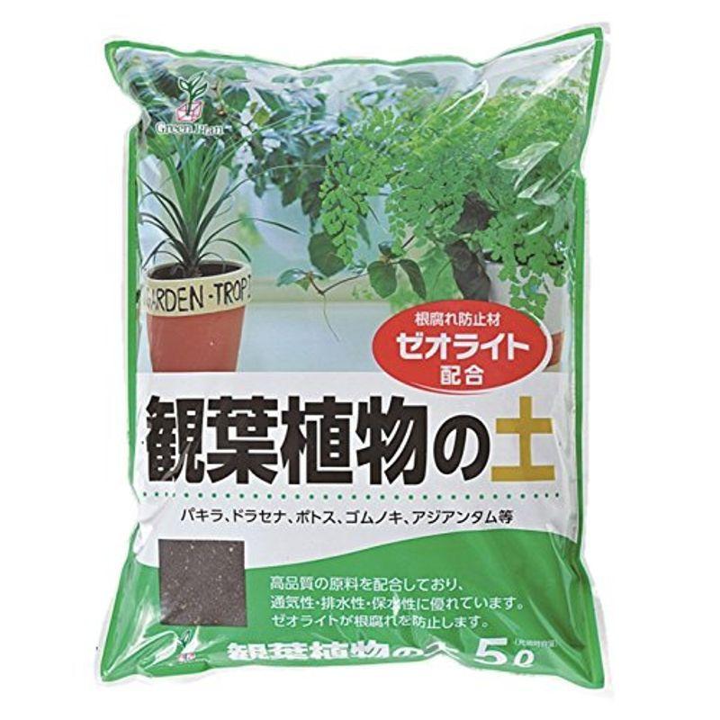 花ごころ 三ツ星室内観葉植物の土