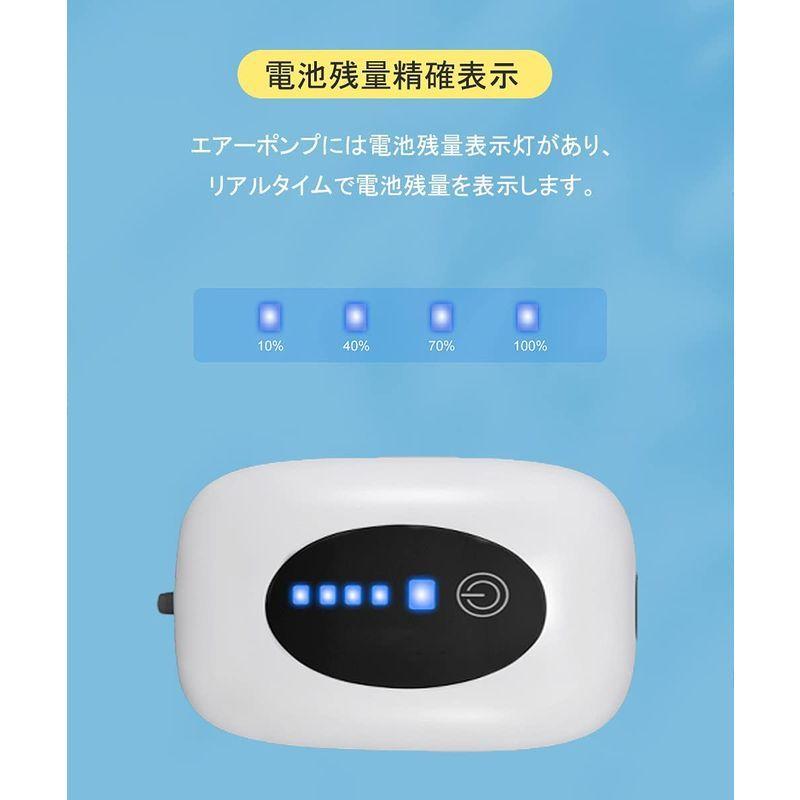 色々な Usb充電 ポンプ 釣り 水槽 エアーポンプ 2600mah電池 間欠モードでは50時間 連続25時間 酸素提供ポンプ 携帯式 消音30db 電動ポンプ Www We Job Com