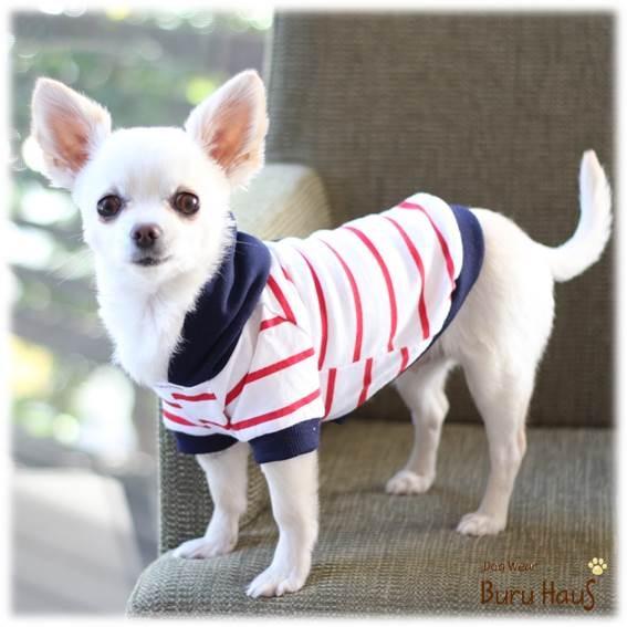 パーカー トレーナー 夏モノ 春 秋モノ マリンボーダー color ネイビー