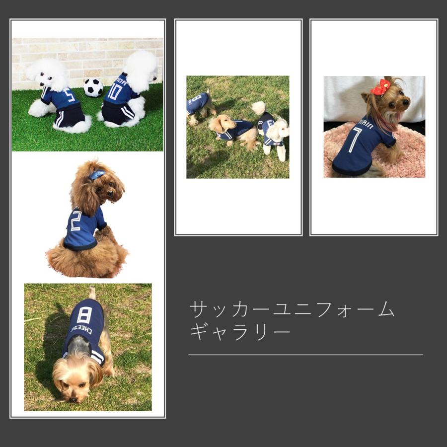 サッカーユニフォーム Tシャツタイプ お名前背番号が入ります