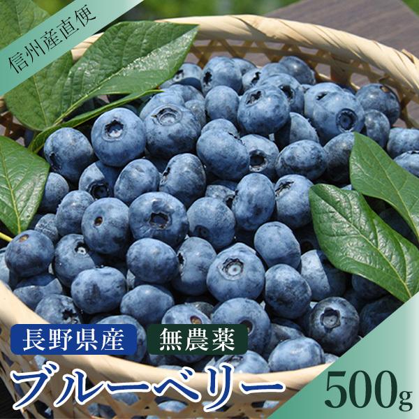 沸騰ブラドン ブルーベリー 1kg 500g×2パック 安心 安全 無農薬 朝摘み