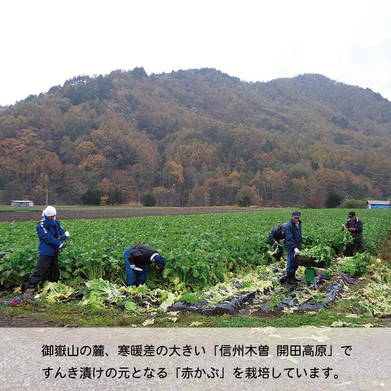 最大90 オフ すんき 0g 3袋セット すんき漬け 漬物 ギフト 発酵 お漬物 セット 長野 赤かぶ 無塩 発酵食品 木曽 開田高原 無添加 Aynaelda Com