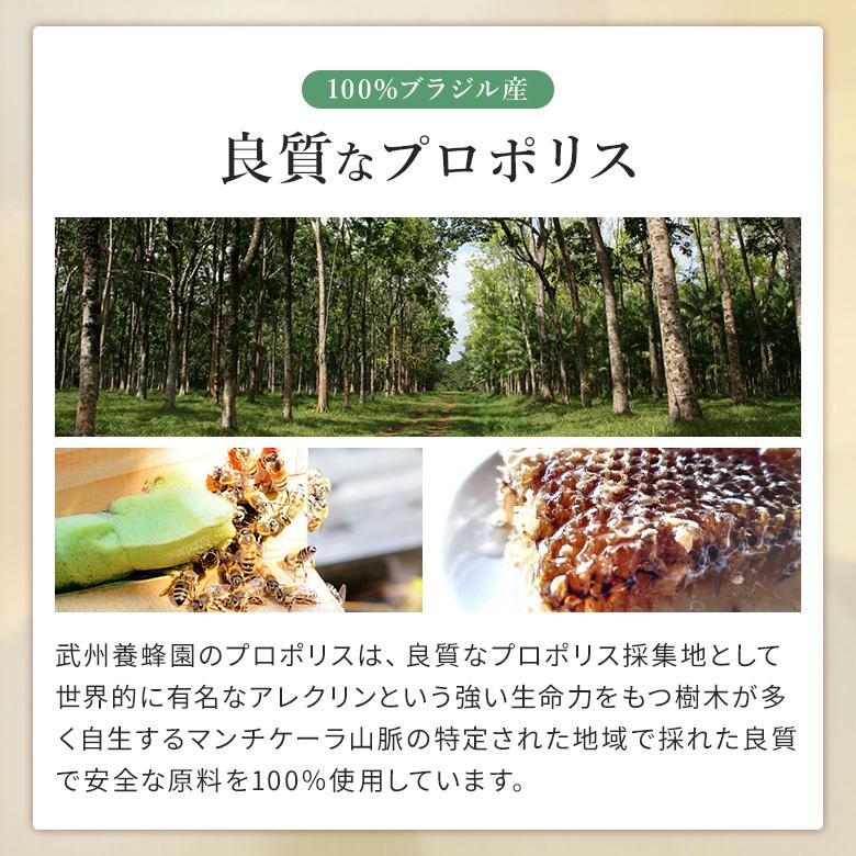 プロポリス 粒状プロポリス 200粒×2個 ブラジル 健康 ビタミン ミネラル サプリメント 原液 武州養蜂園 アルテピリンC フラボノイド |  | 03