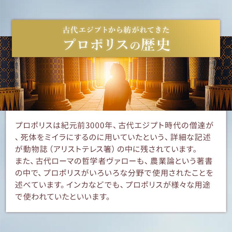 プロポリス 粒状プロポリス 200粒×2個 ブラジル 健康 ビタミン ミネラル サプリメント 原液 武州養蜂園 アルテピリンC フラボノイド |  | 06