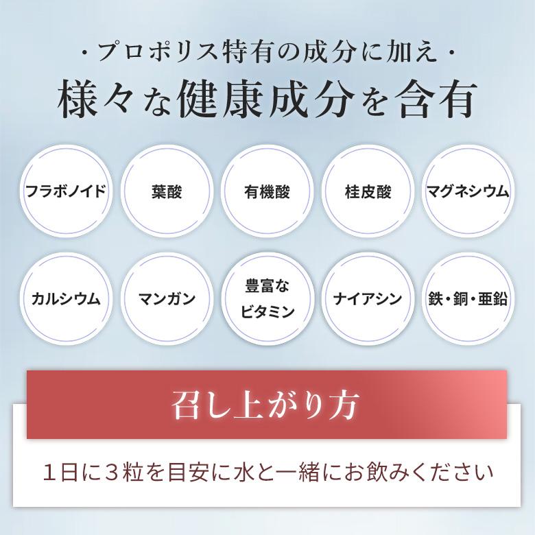 プロポリス 粒状プロポリス 200粒×2個 ブラジル 健康 ビタミン ミネラル サプリメント 原液 武州養蜂園 アルテピリンC フラボノイド |  | 08